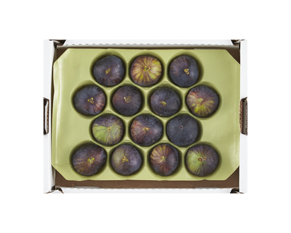 Black Figs, Case - 1.0 EA