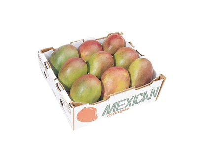Mango Case - 1.0 EA