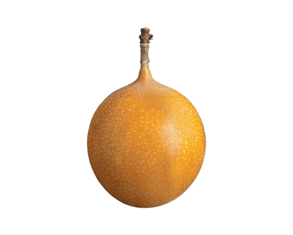 Granadilla - 1.0 EA