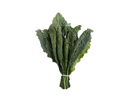 Black Tuscan Kale - 1.0 EA