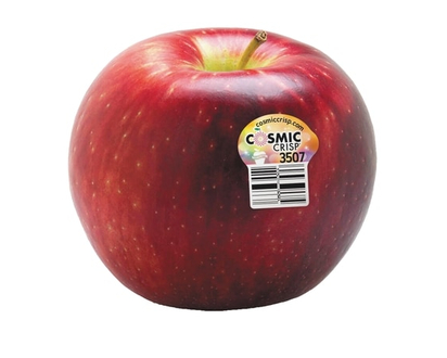Apple Cosmic Crisp
