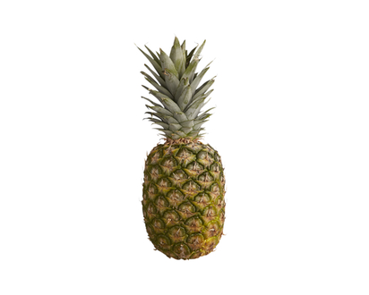Pineapple - 1.0 EA