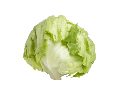 Lettuce Iceberg - 1.0 EA