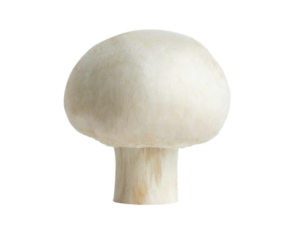White Mushrooms