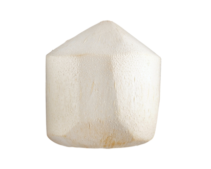 Fresh Coconut Young - 1.0 EA