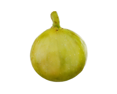 Green Figs - 1.0 EA