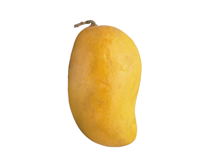 National Ataulfo Mango - 1.0 EA