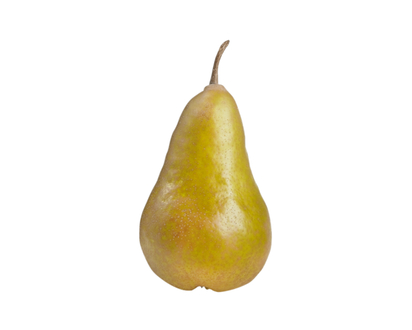 Bosc Pears