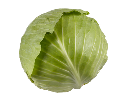Cabbage, Green