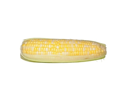 Bi-Colour Corn, Corn on the Cob - 1.0 EA