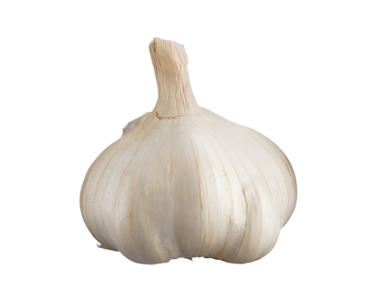 Colossal Fresh Garlic