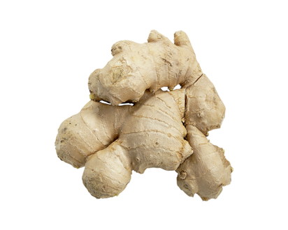 Ginger