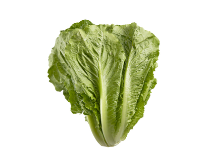 Legunord Romaine Lettuce - 1.0 EA
