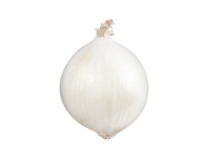 White Onion