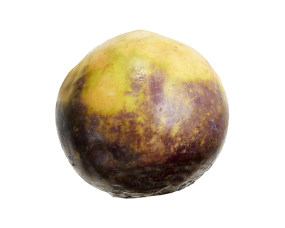 Rutabaga