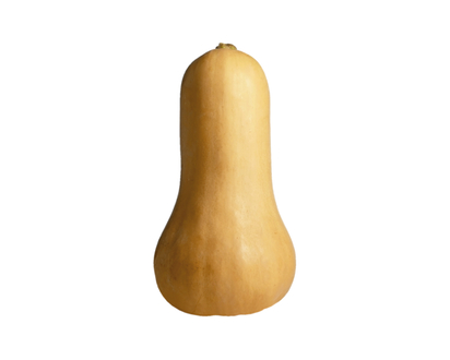 Butternut Squash