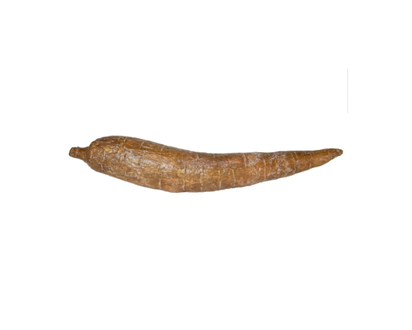 Cassava