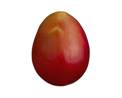 Mango - 1.0 EA