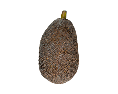 Jackfruit