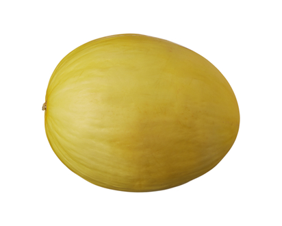 Canary Melon