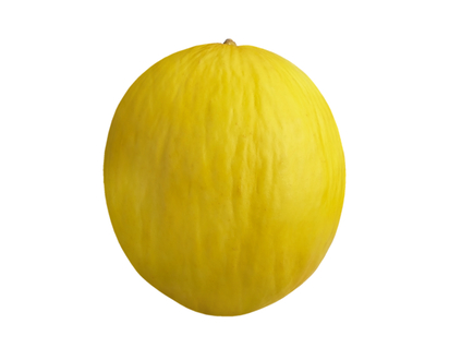 Canary Melon - 1.0 EA