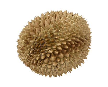 Whole Durian, Frozen