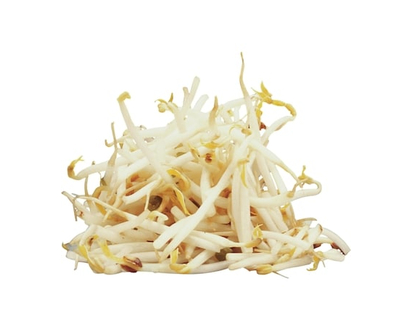 Bean Sprouts, case - 1.0 EA