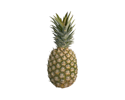 Large Organic Pineapple - 1.0 EA