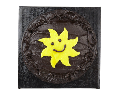 Single Layer Cake, Double Fudge - 591.0 G