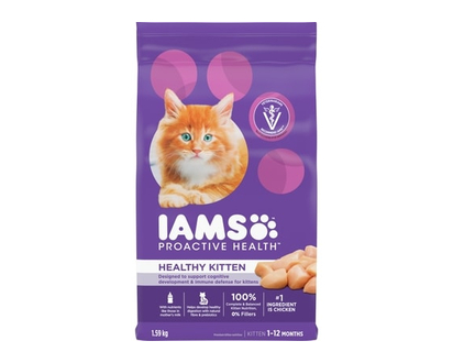 Iams Proactive Health Healthy Kitten Dry Cat Food with Chicken - 1.588 KG