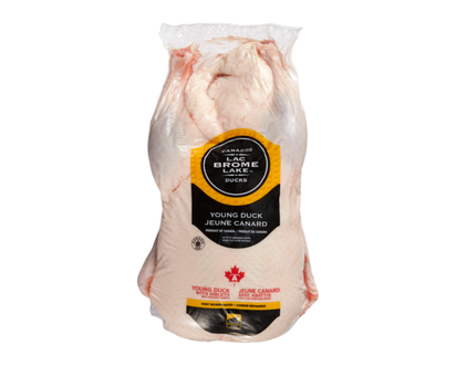 Grade A Fresh Duck