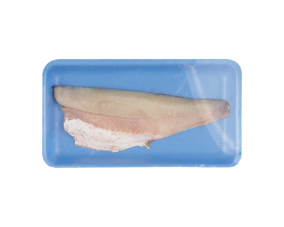 Pickerel Fish