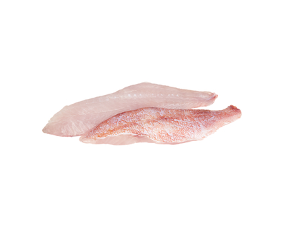 Atlantic Perch Fillets