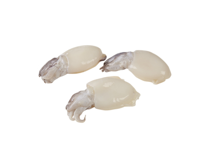 Baby Cuttlefish, Cleaned