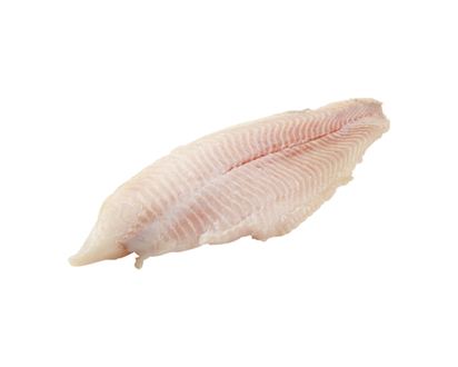 Catfish Fillet