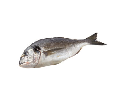 European Sea Bream, Whole