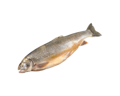 Arctic Char, Whole