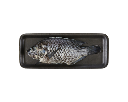 Fresh Whole Red Tilapia