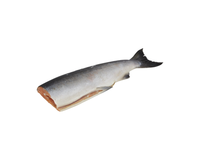 Pacific Wild Coho Salmon, Whole Dressed