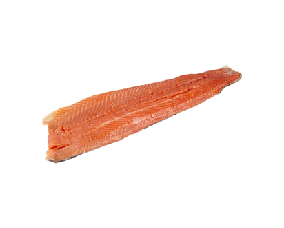 Fresh Farmed Steelhead Trout Fillet