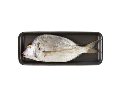 Black Porgy
