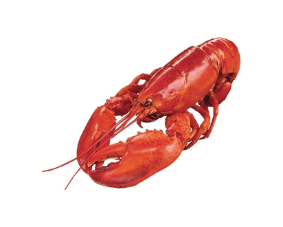 Cooked Lobster Meat, Canned - 238.0 G