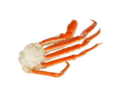 Canadian Snow Crab