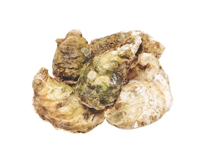 Malpeque Oysters, Jumbo - 40.0 G