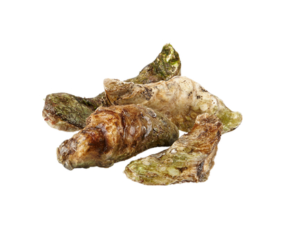 Malpeque Oysters, Medium - 40.0 G