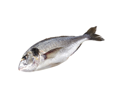 Seabream (Orata)
