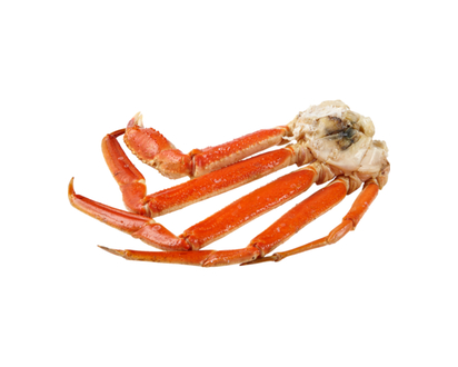 Crabe des neiges