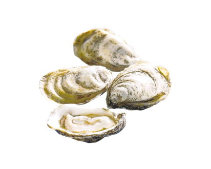 Beausoleil Cocktail Oysters - 1.0 EA