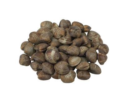 Maximum Pasta Clams - 4.4 KG