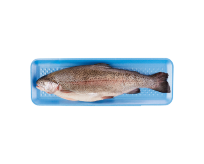 Pan Ready Steelhead Whole